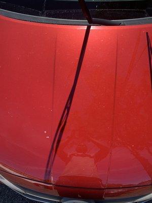 Spray wax and tuff stains