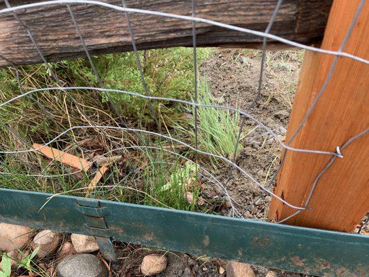 Split rail fence repair is quite sloppy.