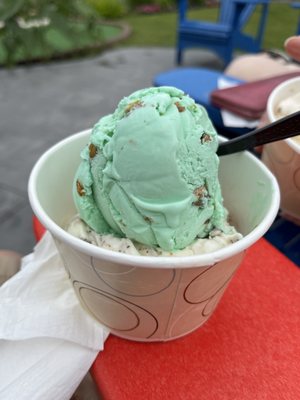 Salty dog ice cream topped with pistachio ice cream