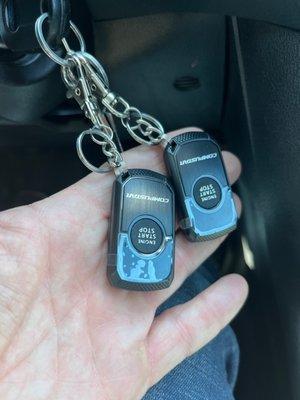 Remote starter key fobs