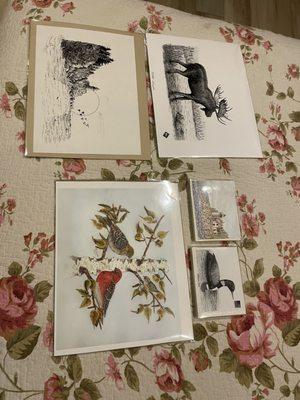 Down East Drawings Wildlife Art Gallery & Gifts