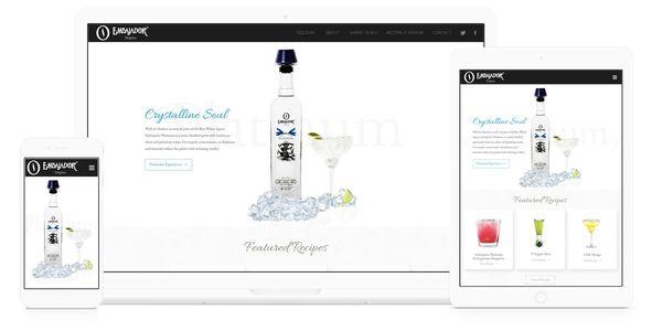 Custom responsive product showcase website.