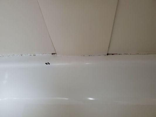 Mold and missed caulking in the tub