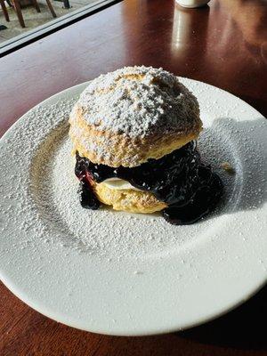 Vanilla Scone with Devonshire Cream: House made vanilla scone, whipped sweetened cream, house made fruit preserves