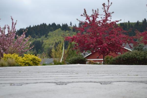 St. Luke's Labyrinth