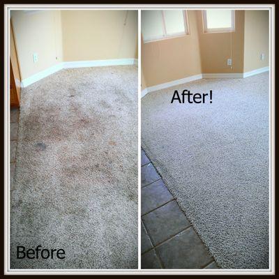 Green Carpet's Cleaning - Beverly Hills