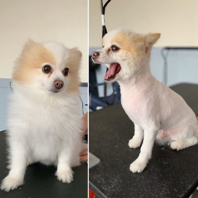 Before and after, look at that smile!