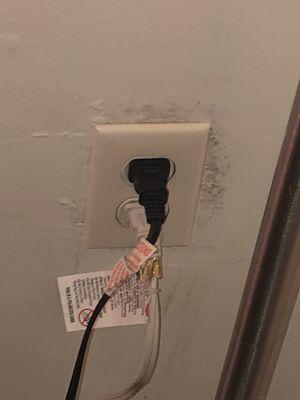 Moldy outlet