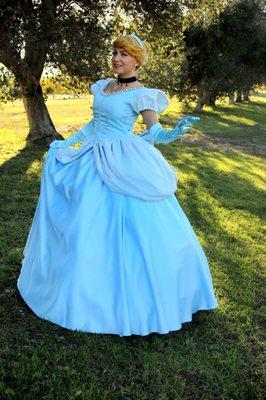 Cinderella is waiting for your bookings!