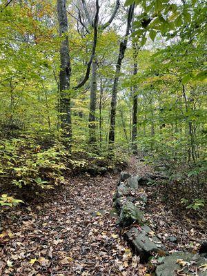 Elk Knob State Park