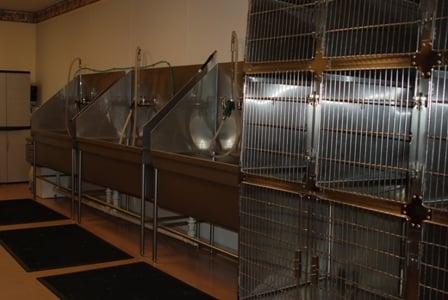 our bathing/holding  area (stainless steel tubs and kennels)