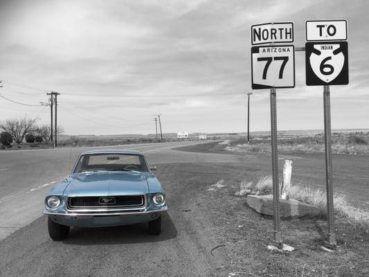 The Mustang Shop of San Diego