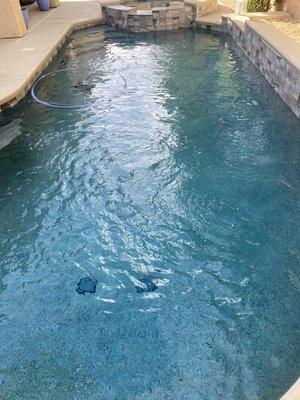 Clean and clear swimming pool