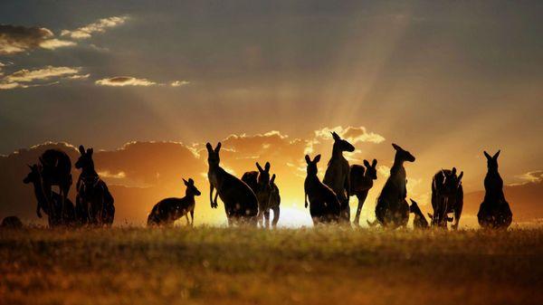 Waltzing Matilda Travel