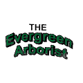 Evergreen Arborist