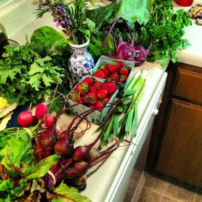 Early - Summer csa half bushel.