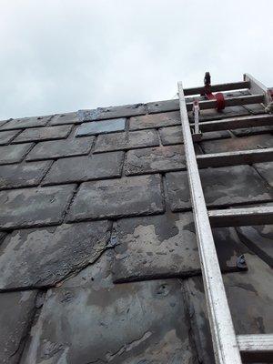 Award Roofing And Repairs