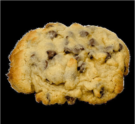 Huge Delicious Gourmet Chocolate Chip Cookie