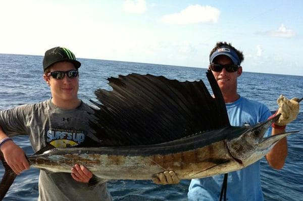 The Atlantic Sailfish is a common catch out of Port Canaveral. Captain Brent has the excited spindlebeak crash his baits quite o