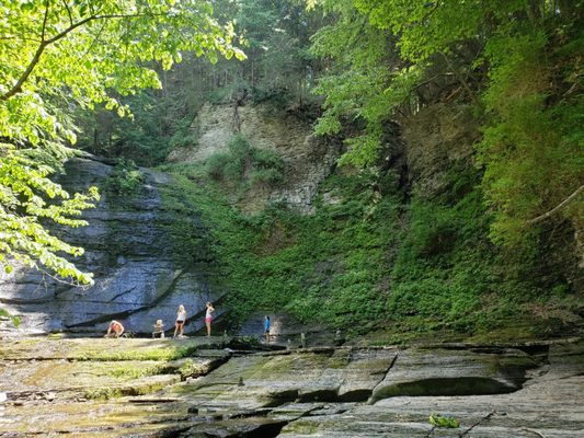 Sweedler Preserve