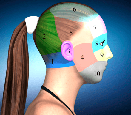 Symptoms are very predictable and progress and degress in a similar pattern.