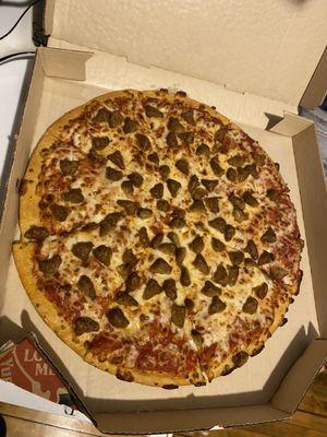 Large 1 topping pizza