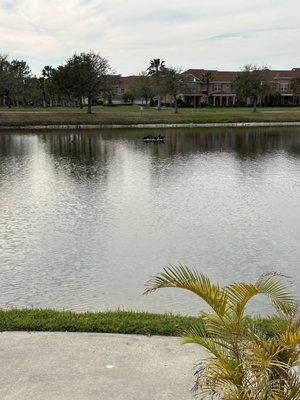 View of pond from outdoor seating