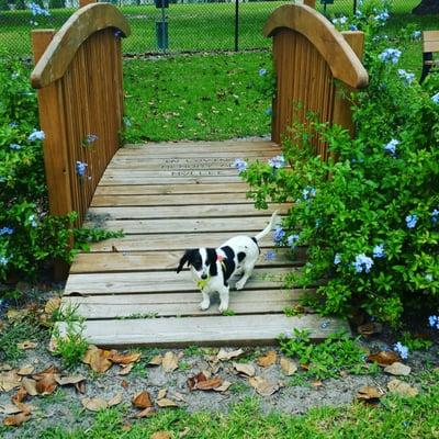 Fiona and Layla checking out their new favorite park