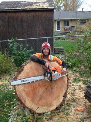 Andy Hammond - Arborist