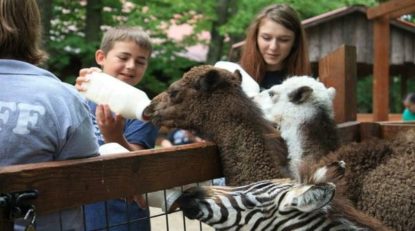 Bottle feeding with some of our happy visitors!