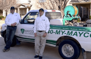 MAYCO Pest & Termite Control