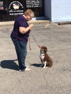 Sign up today for training classes for your furry friend!