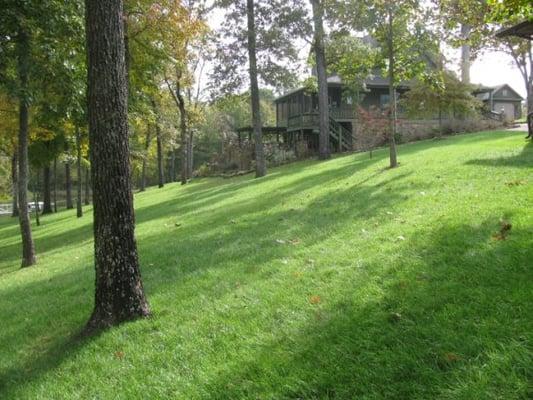 Lake house on Kentucky Lake. Complete Landscaping, Irrigation system, sodding and maintenance done.