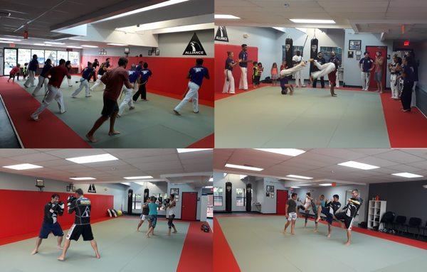 Up - Capoeira Down - Kickboxing