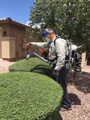 John performing a mosquito treatment applying mosquito product to landing and breeding sites