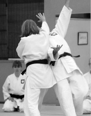 Aikido Yoshokai Of Minnesota