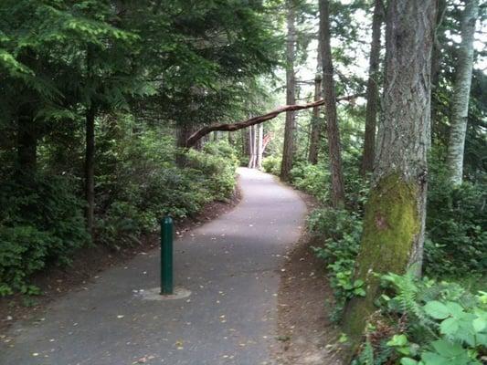 Walking/biking path