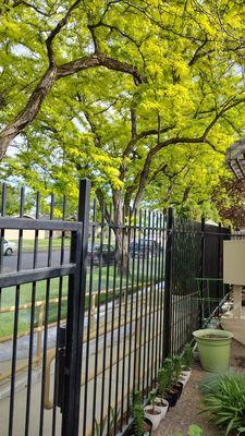 Trees line three sides of the building. Outside patio area within the confines of supervision and safety.