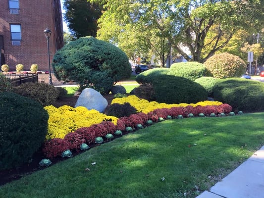 Fall Flower Display