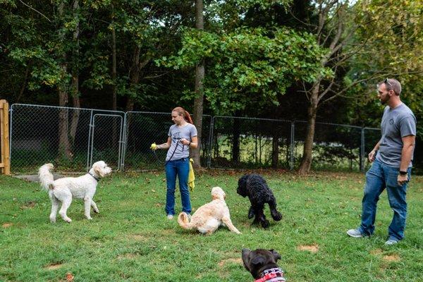 We have a fully fenced in back yard for play groups