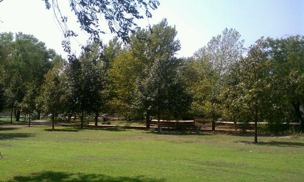 Shady picnic area