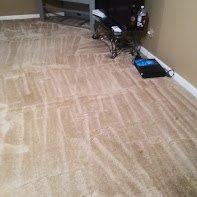 Full room carpet extraction and cleaning.