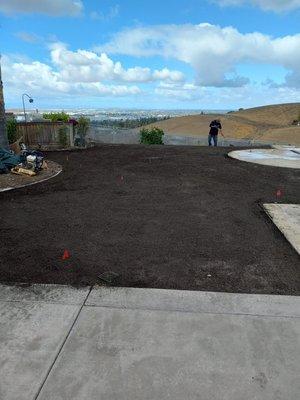 Preparing area for fresh sod