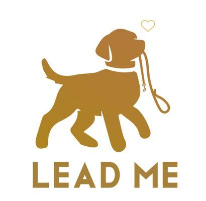 Lead Me business logo