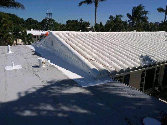 Roof cleaning painting and waterproofing in Ft. Lauderdale.