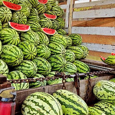 Baylor Watermelon Market