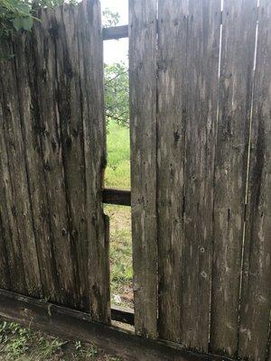 BROKEN FENCE leading to the wide open that had supposedly been "FIXED"