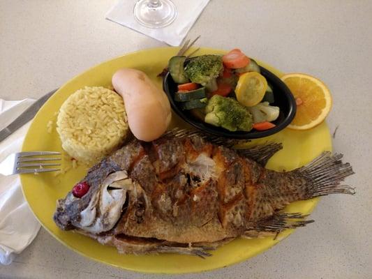 Tilapia