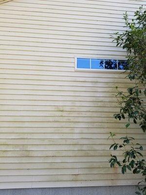 BEFORE - Green algae and dirt on the siding.