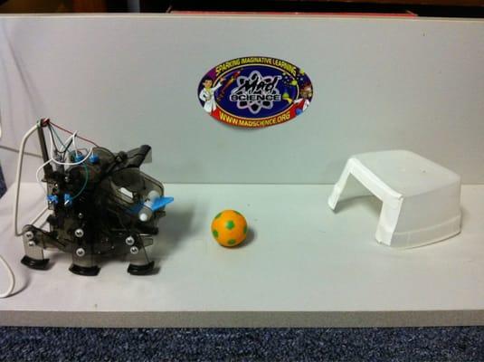 Summer 2011: make Soccer Jr Robot!